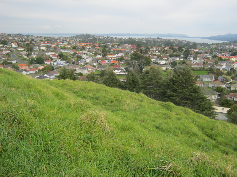 Click for the gallery page to add comments and vote (PID:92596) Puketapapa Pa