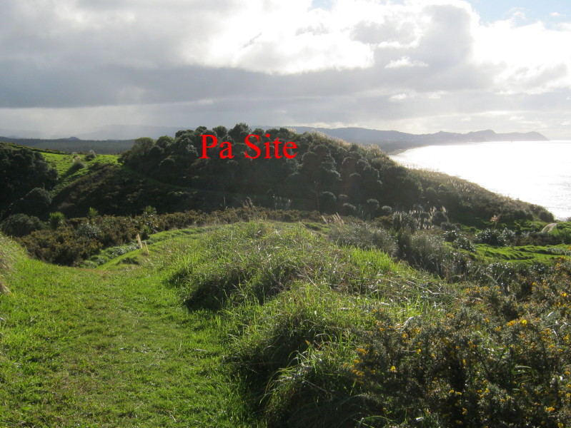 Click for the gallery page to add comments and vote (PID:91237) Te Arai o Tahuhu Pa