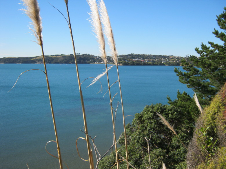 Click for the gallery page to add comments and vote (PID:90127) West Manly Pa