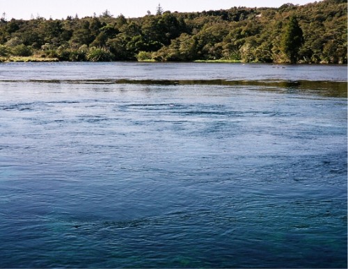 Te Waikoropupu Springs