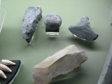 Click for full size image of Canterbury Museum (PID:120452) Canterbury Museum