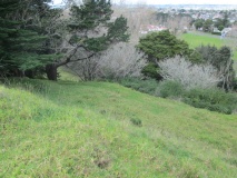 Otahuhu Pa
