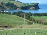 Te Haruhi Bay Kainga submitted by DrewParsons