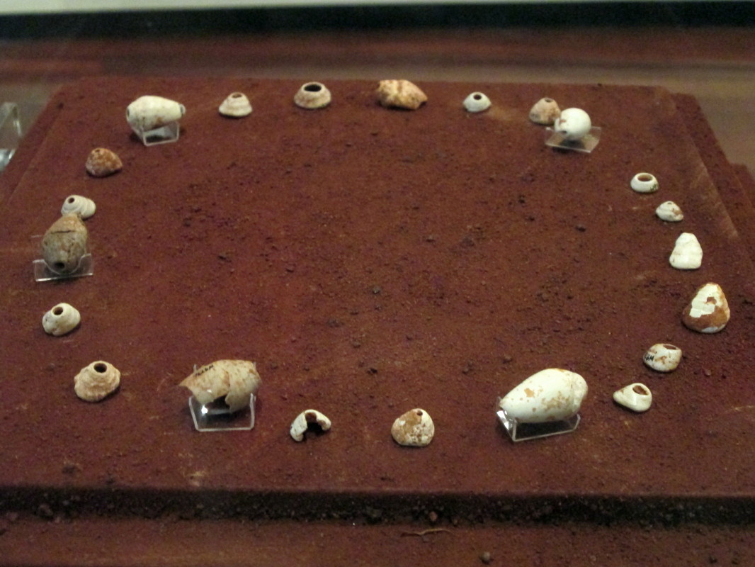 22 Cone Shell beads dated to approximately 32,000 years before present.  Found at Mandu Creek Rock Shelter, Exmouth, Western Australia, they represent the earliest example of human adornment yet found in Australia. Signs of abrasion from string rubbing on the shells indicate that they were worn by someone.  The shells are of a non edible shellfish.  June 2013. 