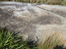 Bondi Golf Course rock art site