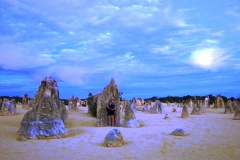 The Pinnacles - PID:268269