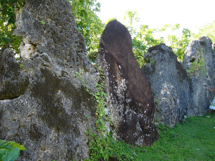 Site in : Marae Tainuu on Raeatea Island, French Polynesia showing the perimeter stones
