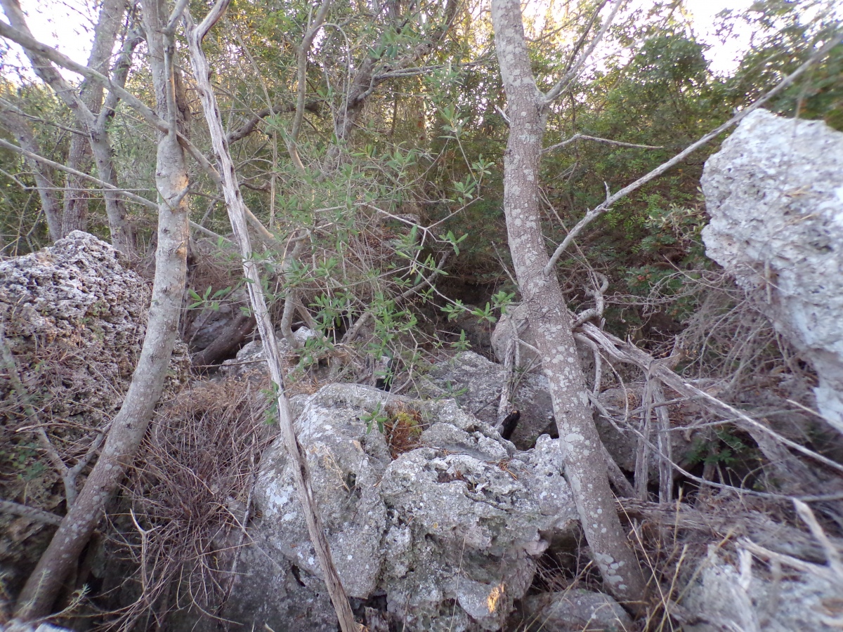 Talaiot de Sa Font
