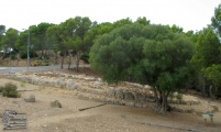 Naveta Alemany - PID:124521