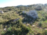 Punta des Baus - PID:199642