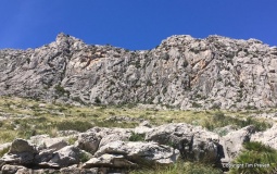Bocchoris