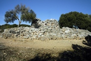 Capocorb Vell - PID:145566