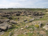 Son Real Necropolis
