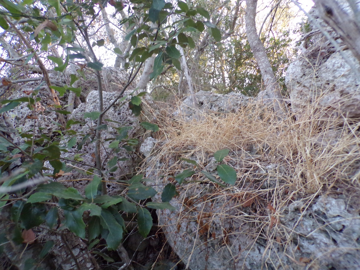Talaiot de Sa Font