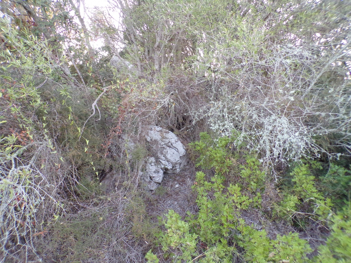 Talaiot de Sa Font