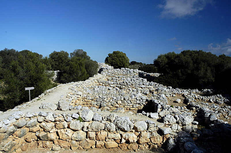 Click for the gallery page to add comments and vote (PID:145564) Capocorb Vell