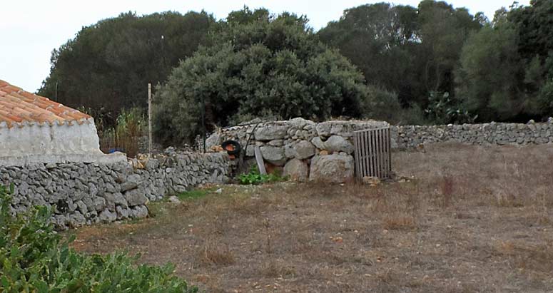 Click for the gallery page to add comments and vote (PID:113755) Cotaina De Can Rabassó