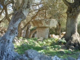 Torre Llafuda - PID:159016