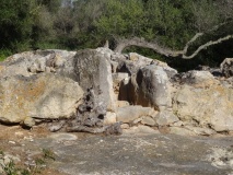 Ses Arenes de Baix