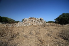 Torrellonet