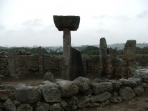 Trepuco