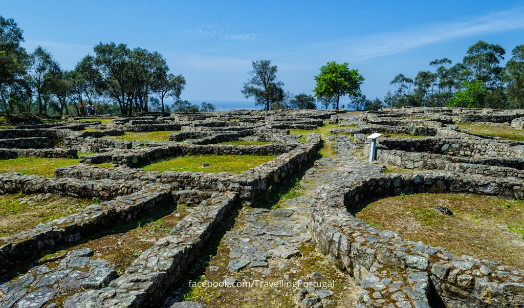 Cividade de Terroso