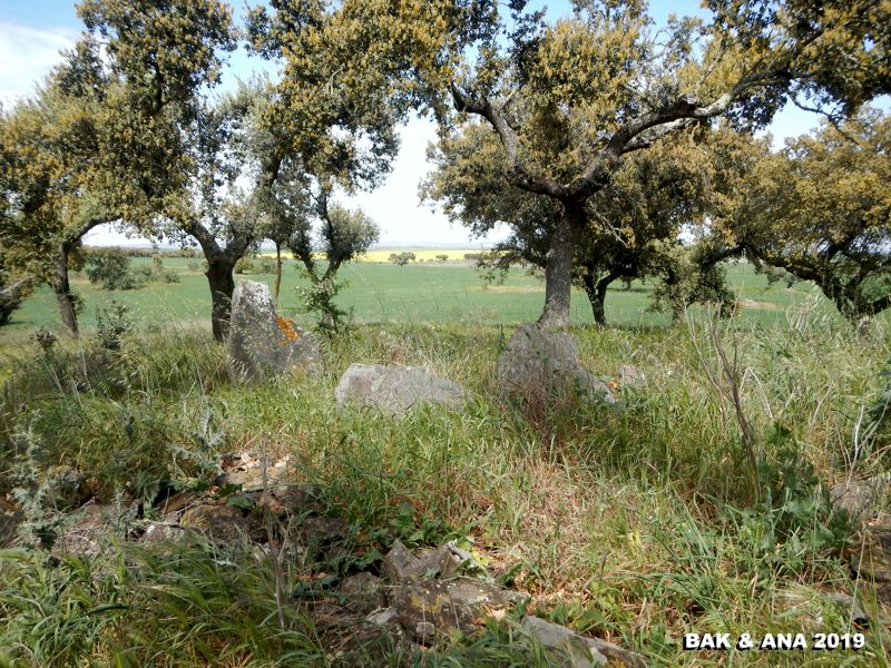 Click for the gallery page to add comments and vote (PID:195532) Anta da Torrinha