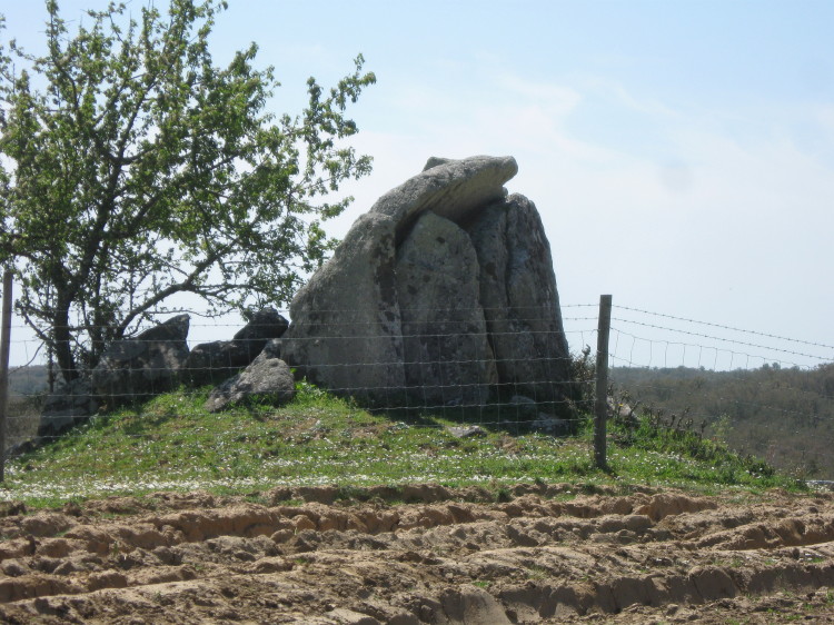 Anta do Pinheiro 2
