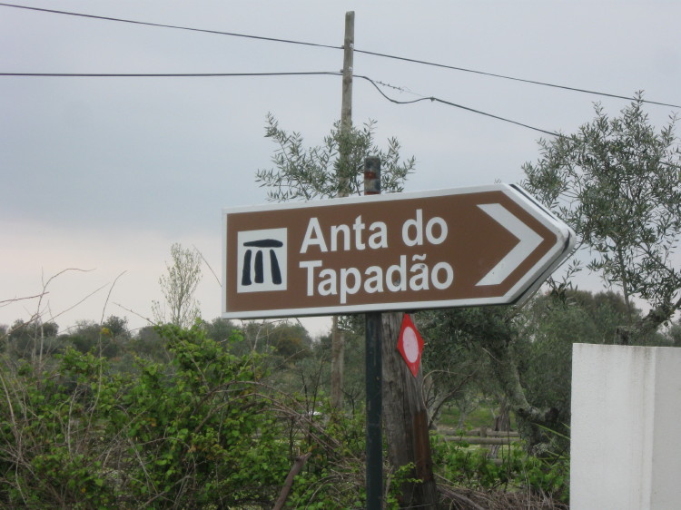Anta do Tapadão