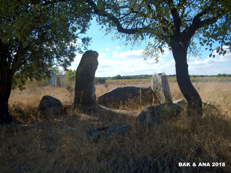 Vale de Anta em Chaves - Portugal