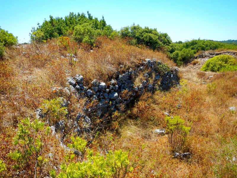 Castro de Vila Nova de São Pedro