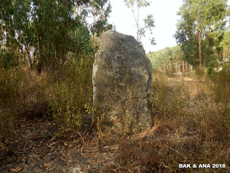 Click for the gallery page to add comments and vote (PID:187199) Anta da Corticeira
