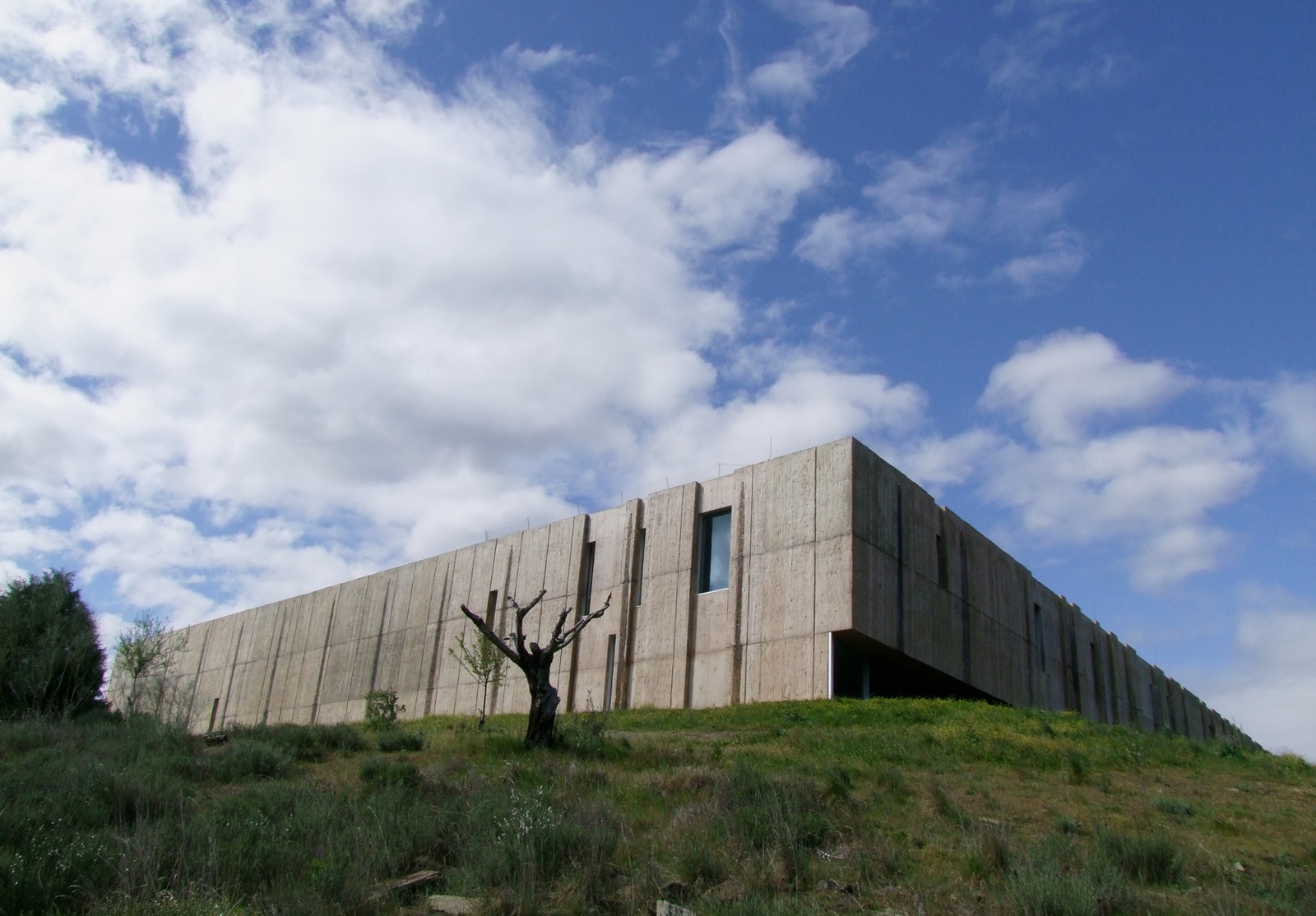 Parque Arqueologico do Côa Museum