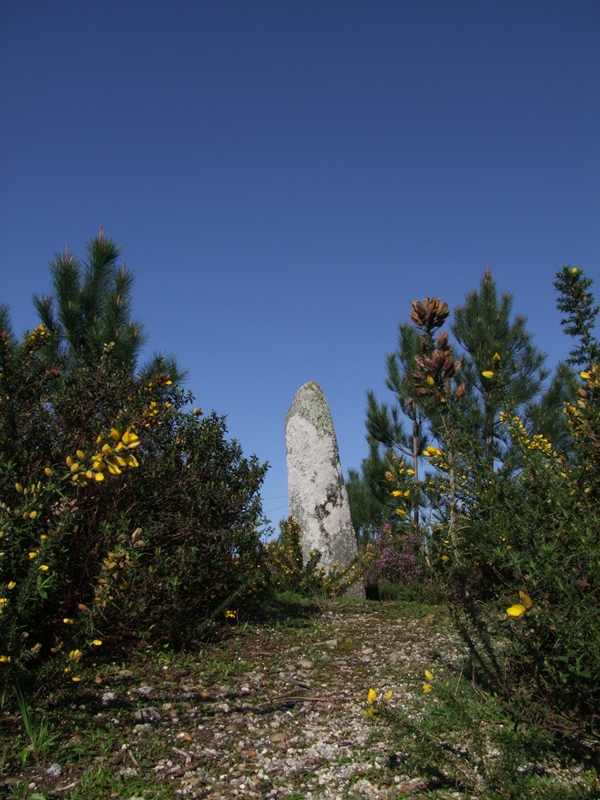 Menir de São Paio de Antas