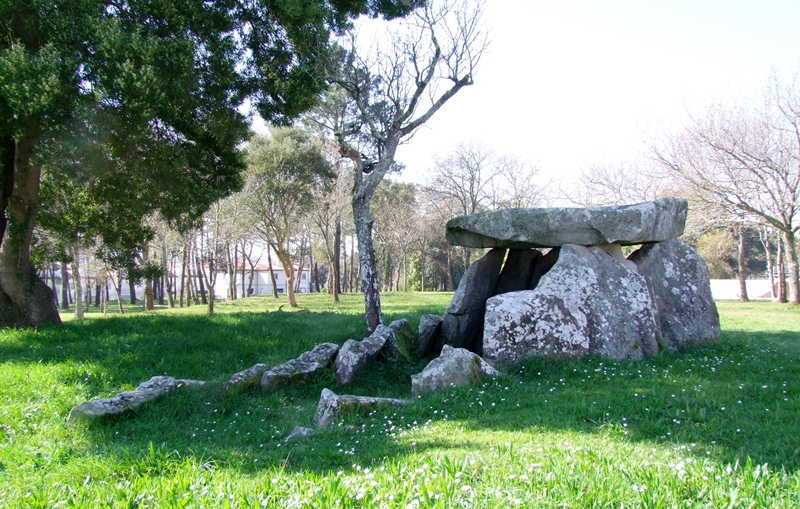 Anta da Barrosa