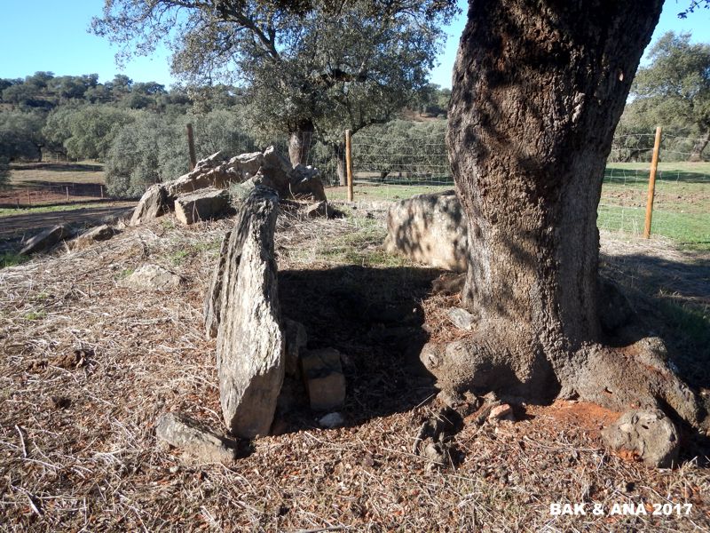 Click for the gallery page to add comments and vote (PID:174839) Eira da Cortiça 1