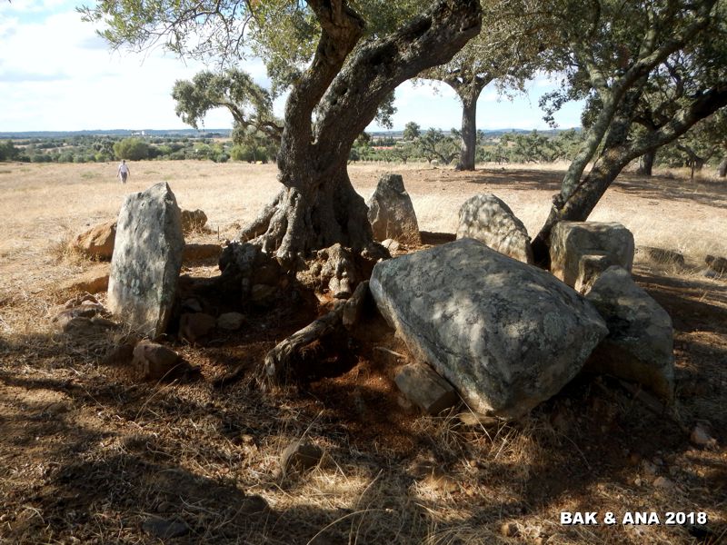 Click for the gallery page to add comments and vote (PID:189290) Anta do Monte Branco