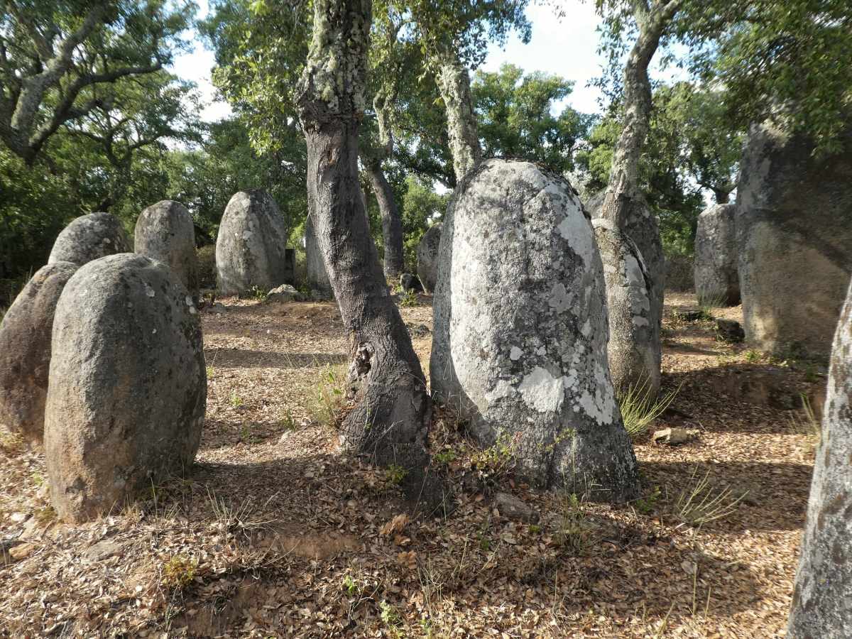 Cromeleque da Portela de Mogos