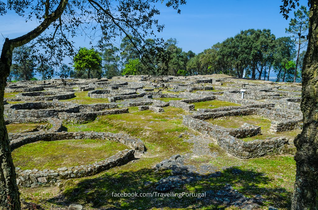 Cividade de Terroso