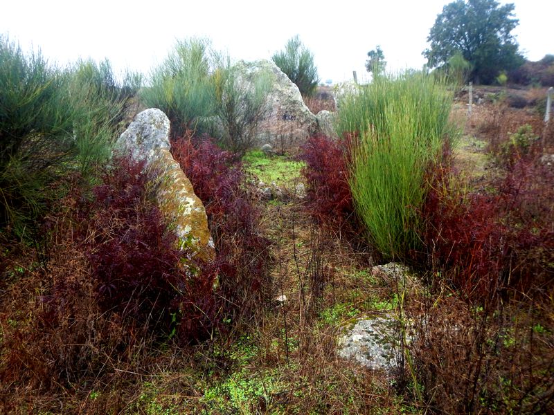 Click for the gallery page to add comments and vote (PID:140192) Anta de São Gens 2