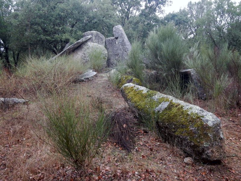 Anta 1 e Menir dos Saragonheiros