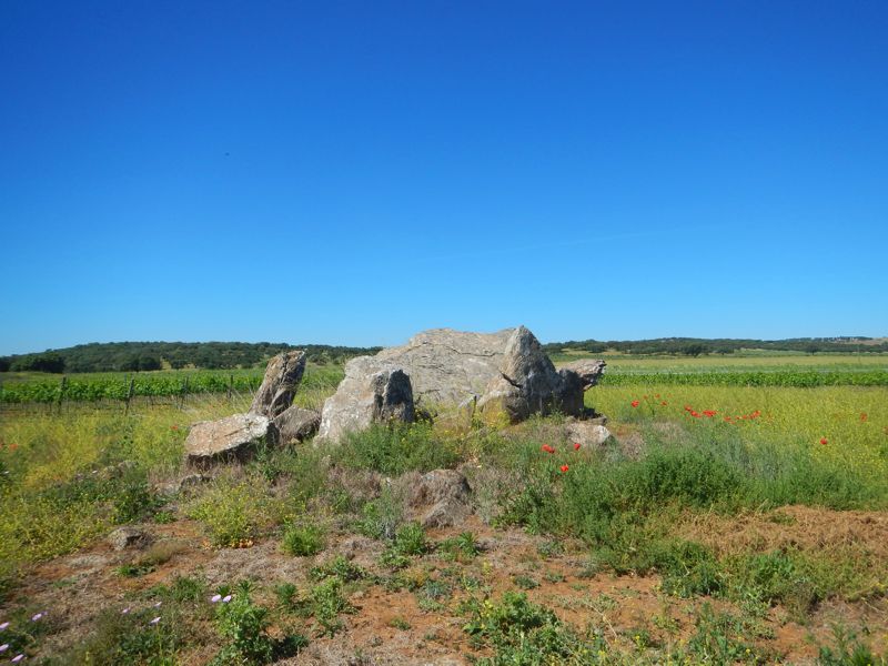 Anta 1 de Torre das Arcas