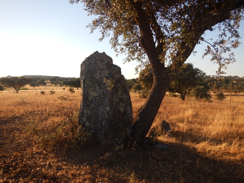 Click for the gallery page to add comments and vote (PID:167568) Anta da Belhôa