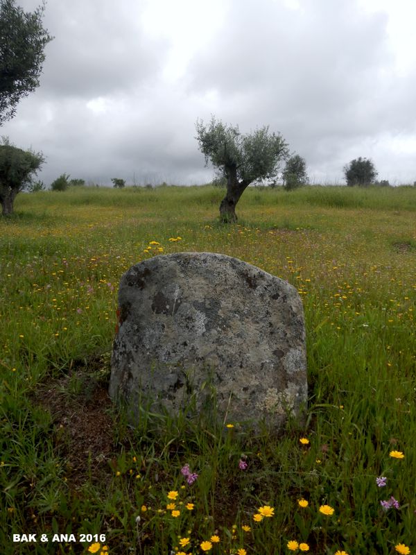 Another remaining base of a standing stone also in situ. The group is made of five: the base of two menhir stones remains in its original place, there is also a round menhir, a larger one full of small dimples and another one, longer and half buried.