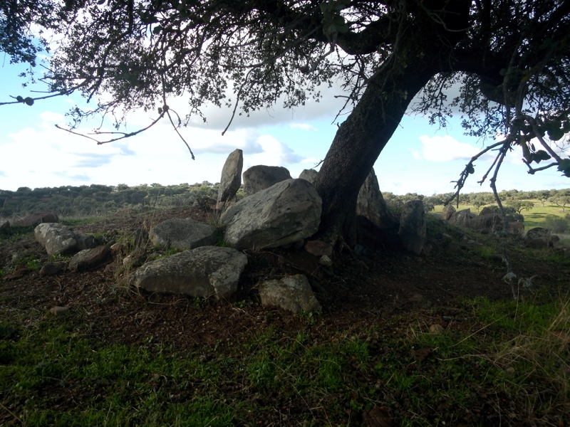 Click for the gallery page to add comments and vote (PID:160361) Anta das Dessouras