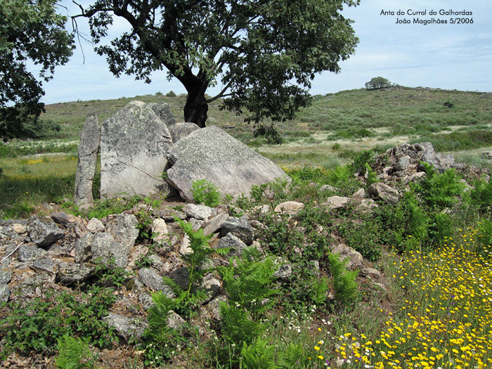 Click for the gallery page to add comments and vote (PID:20719) Anta do Curral do Galhordas