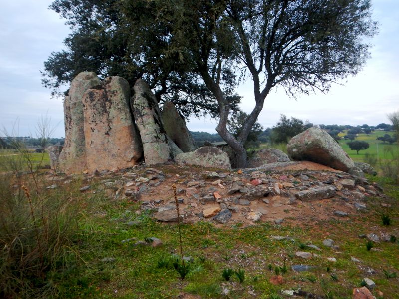 Click for the gallery page to add comments and vote (PID:142684) Anta Grande de Rabuje