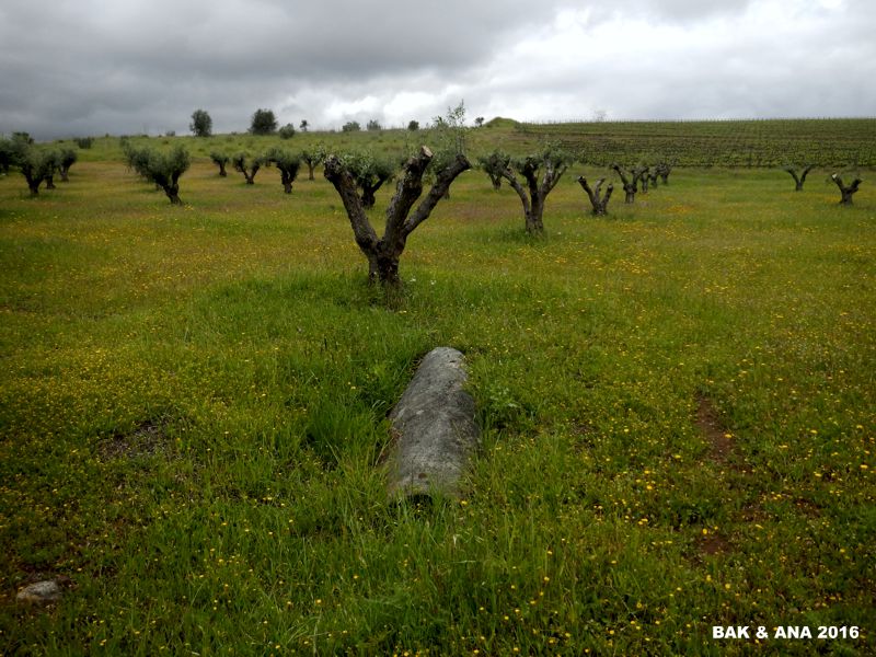 Menires na Herdade dos Perdigões