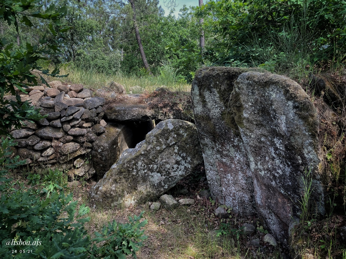Anta da Lameira do Fojo 1
