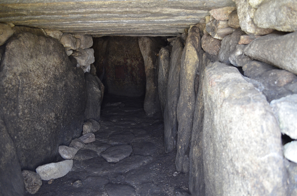 Click for full size image of Anta Pintada de Antelas (PID:199666) Anta Pintada de Antelas